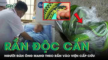 Bị rắn độc cắn, người đàn ông bắt 
