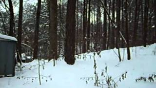 Snowy Day 006.avi