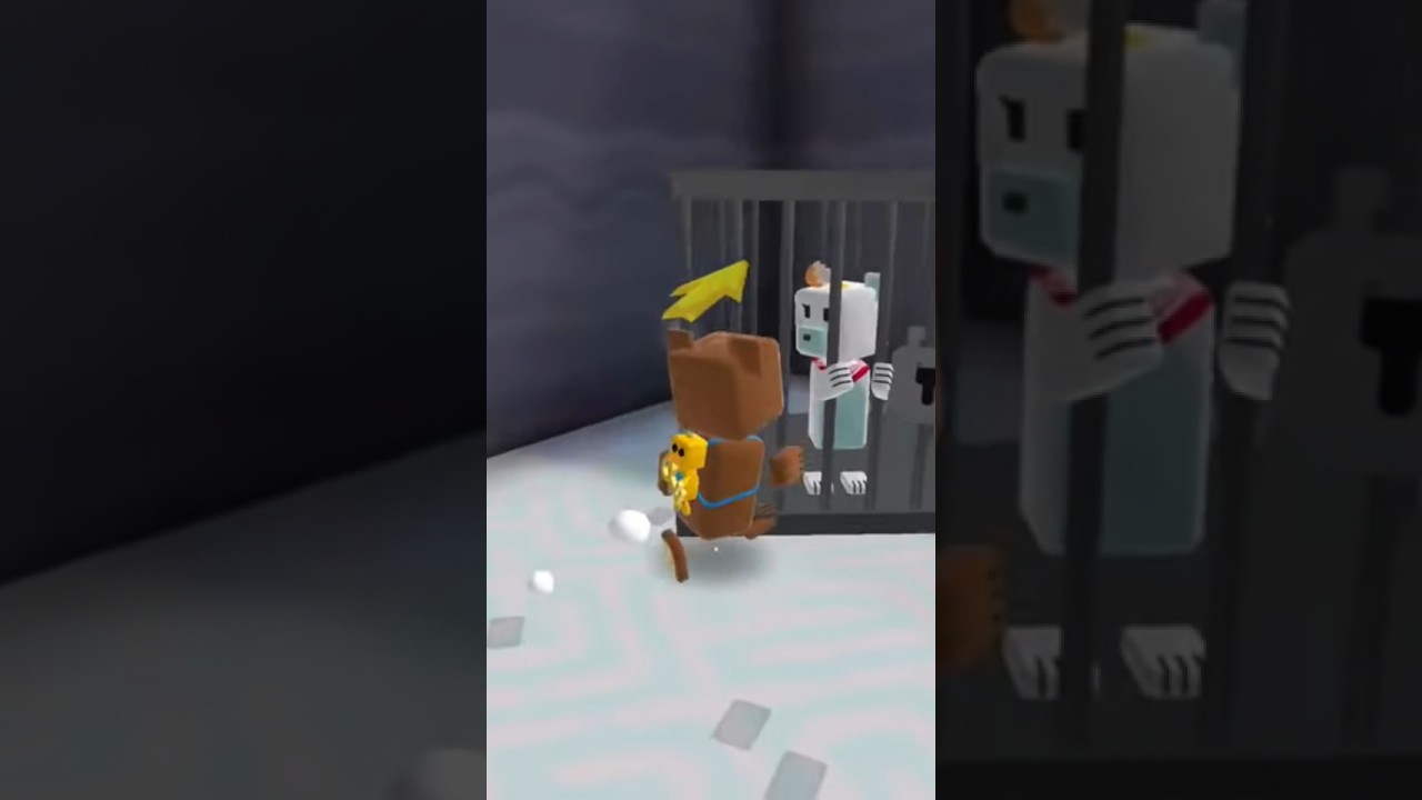 #superbearadventurehighlights