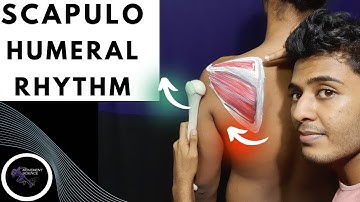 INTEGRATED FUNCTION OF SHOULDER JOINT COMPLEX (SHOULDER COMPLEX BIOMECHANICS)Physiotherapy Tutorials