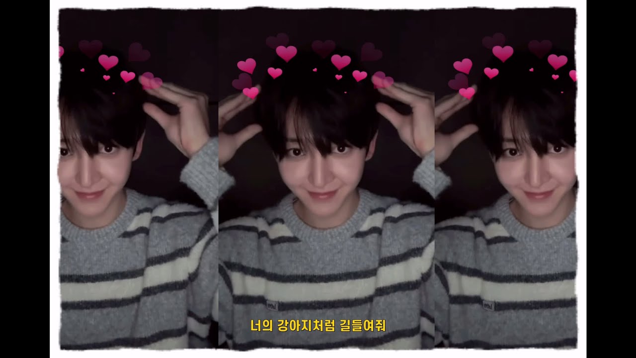 날 묶어줘 보채줘 혼내줘 너의 강아지처럼 길들여줘 💗🐰 | #kickflip #킥플립 #동현 