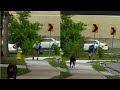 amazon vs ups delivery guys getting chased by dogs