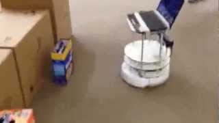 Enclosure Escape and Object Seeking