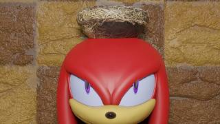 Knuckles the Nest Head