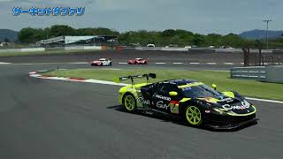【驚愕の至近距離】サーキットサファリ