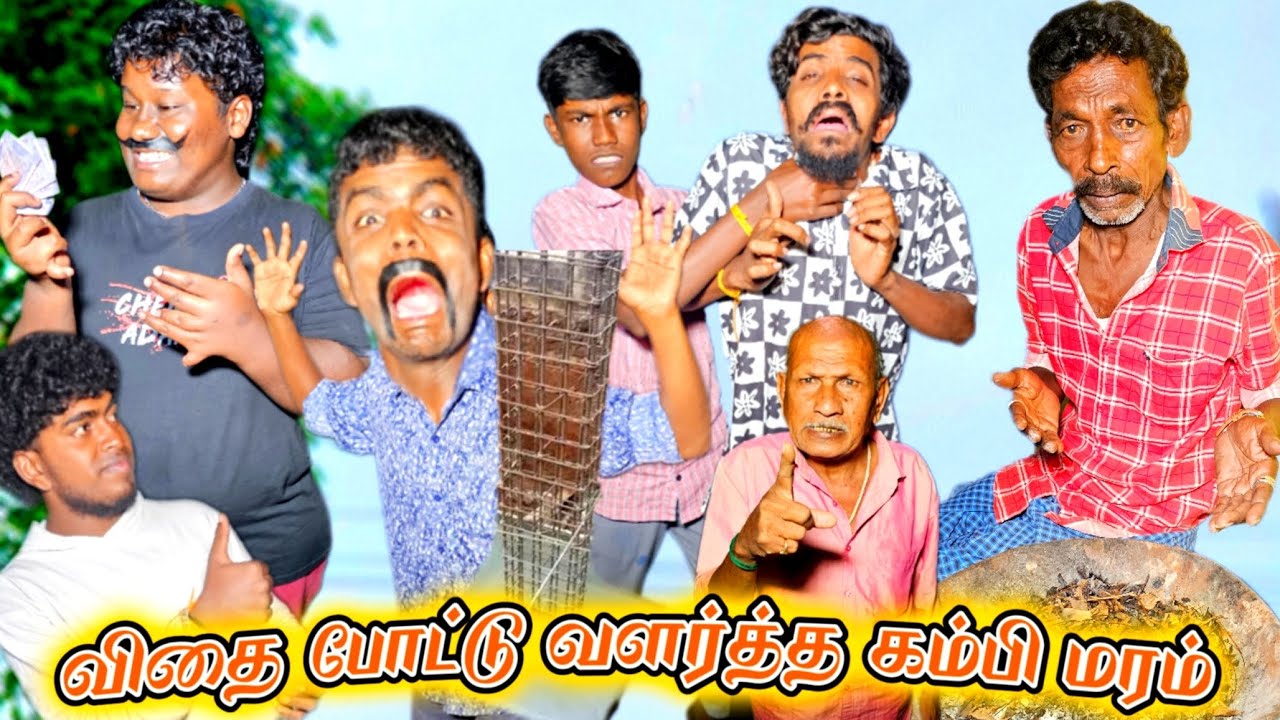 விதை போட்டு வளர்த்த கம்பி மரம் எப்படியா கம்பி வளரும் | Pana Matta