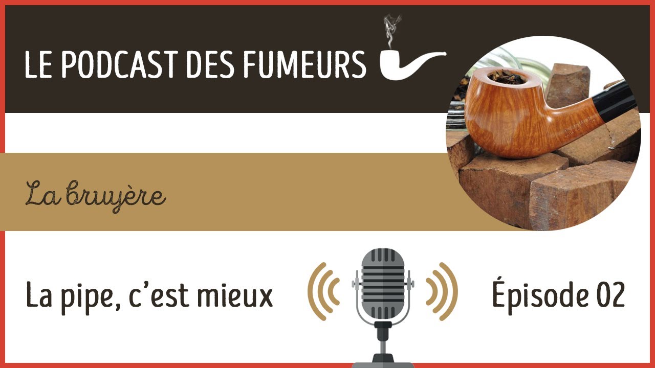 Tout savoir sur la bruyère