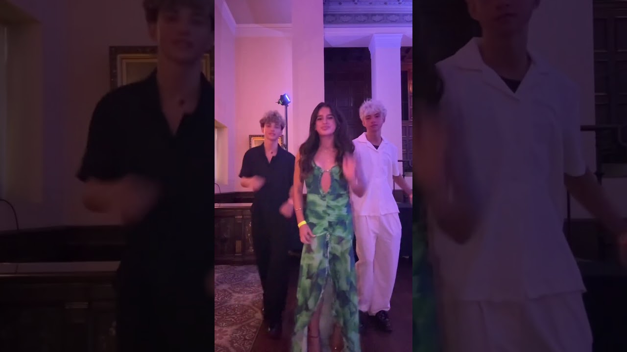 the twinssss ​(idk why the audio is like talking)