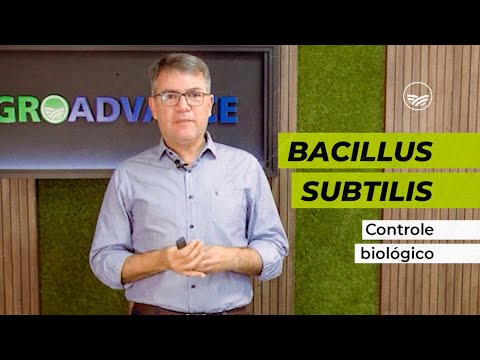 Vídeo: Onde é encontrado Bacillus subtilis?