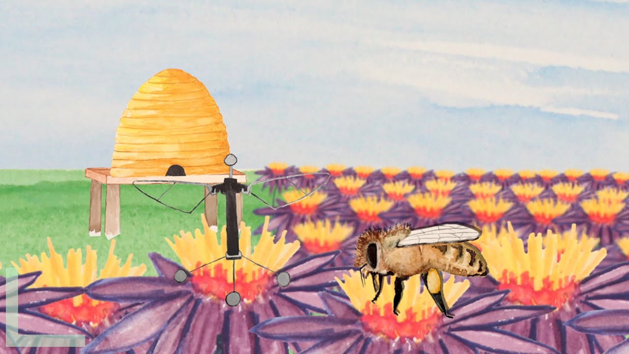RoboBees to the Rescue | NOVA