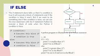 16 Python conditional Profile