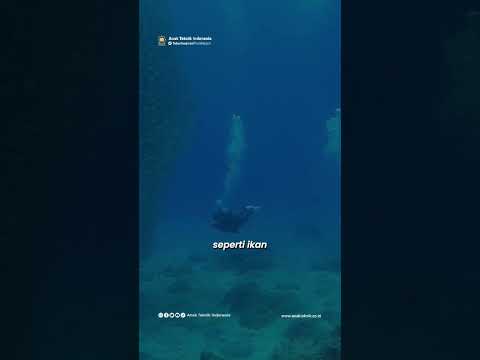 Teknologi akustik laut?