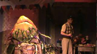 Little Shop of Horrors - Feed Me (Get It) - Harlem High School