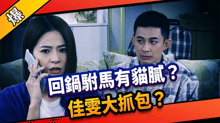 《八点档抢先爆》市井豪门 EP212 回锅驸马有猫腻？  佳雯大抓包？ - 天天要闻