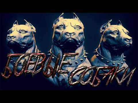 Боевые Собаки (история и применение)