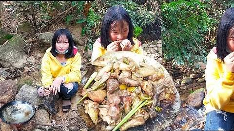 yos hav zoov sab nplog nkauj hmoob kib qaib hav zoov  noj pab tshaj 2021#5