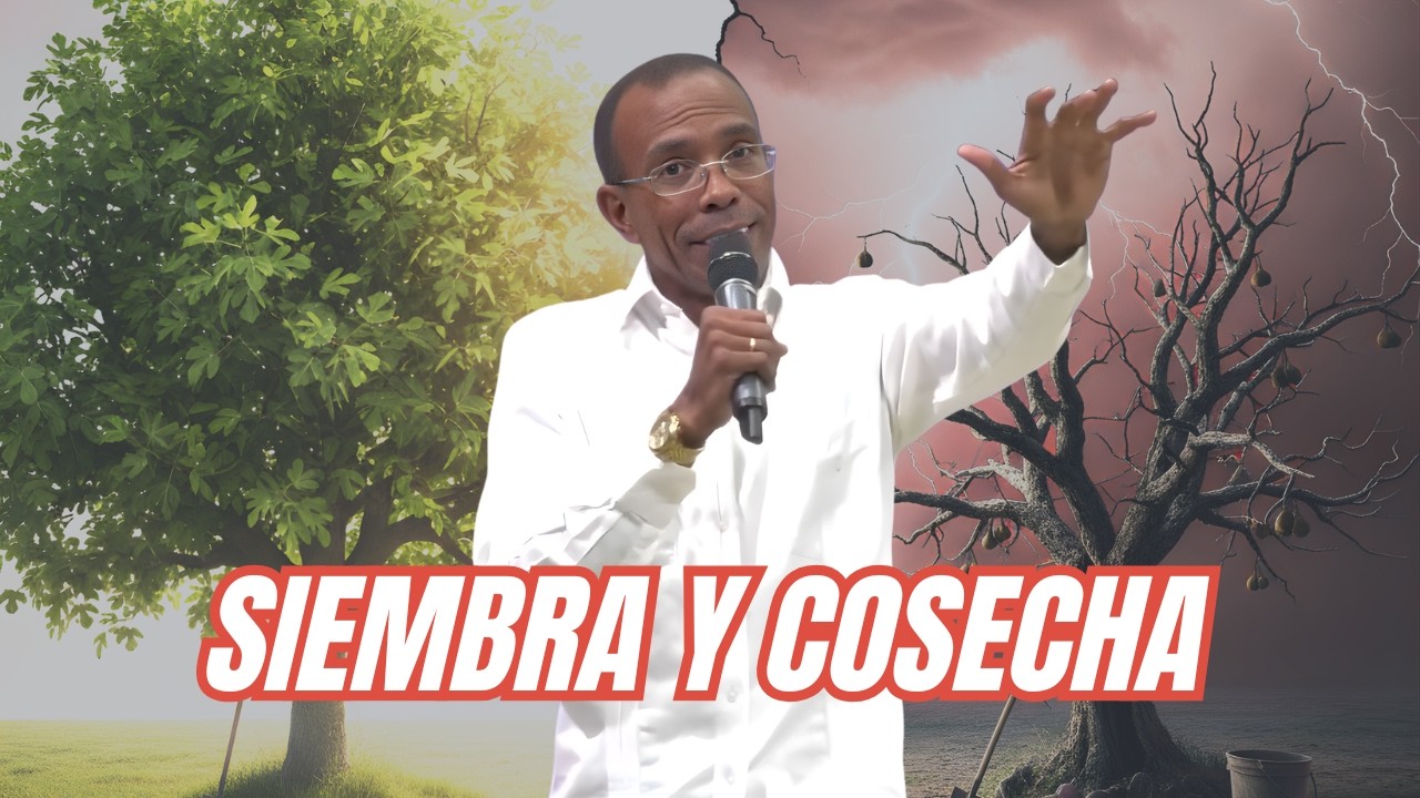 La forma mas SENCILLA de que tus ESFUERZOS den frutos RAPIDAMENTE, (Deja la desesperación)