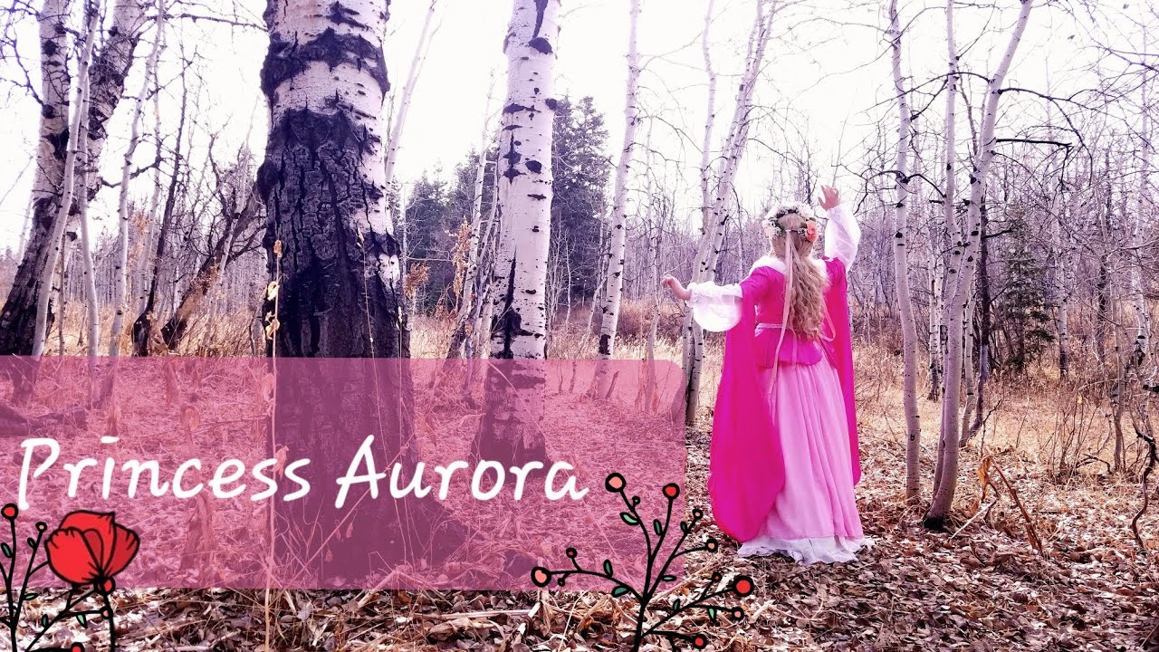 Storybook Sleeping Beauty Costume