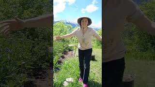 Vlog Update: Speed edging