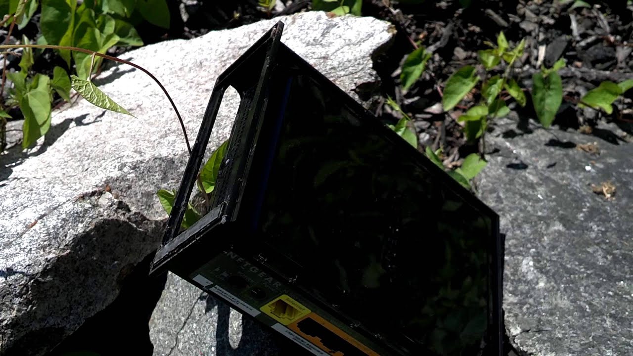 Ants love Netgear WiFi Router - YouTube