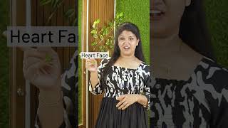 ഇനി കറക്റ്റ് ആയിട്ട് തിരഞ്ഞെടുക്കലോ അല്ലേ? #gitd #tips #trending #fashiontrends #beautician
