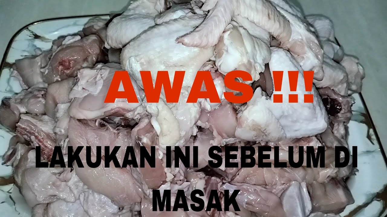 MENGHILANGKAN DARAH AYAM || CARA MENGHILANGKAN BAU AMIS PADA AYAM POTONG || 