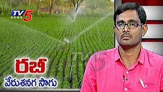 Peanut - Groundnut Cultivation | Peanuts Nuts Planting Tips | Annapurna | TV5 News