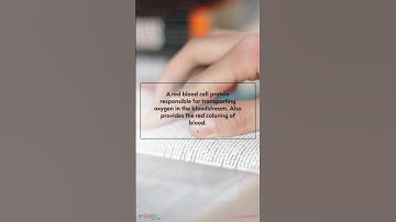 Terminology of the day – Hemoglobin #shorts