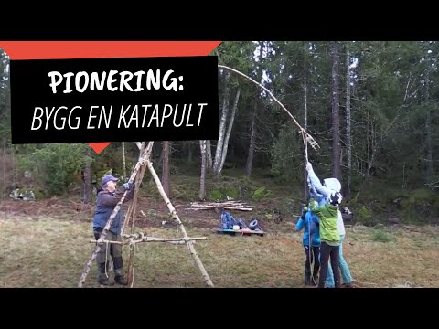 Bygg en katapult