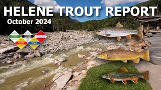 The FUTURE of Trout Fishing in NC Post-Helene Report