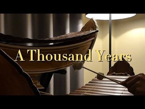 A Thousand Years - Christina Perri | cover ระนาดเอก | Khun PoTae นักรักมือระนาด