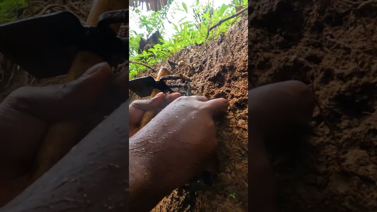 Digging Deep For Treasures The Thrill Of Gem Mining Revealed GemHunting