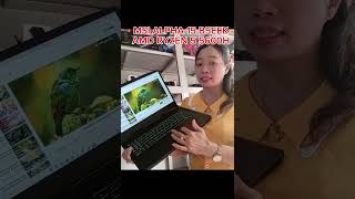 LAPTOP ĐỒ HOẠ VÀ GAMING Laptop MSI Gaming Alpha 15 B5EEK  R5 5600H/24G/512G/15.6"FHD/RX6600M 8G 9tr8