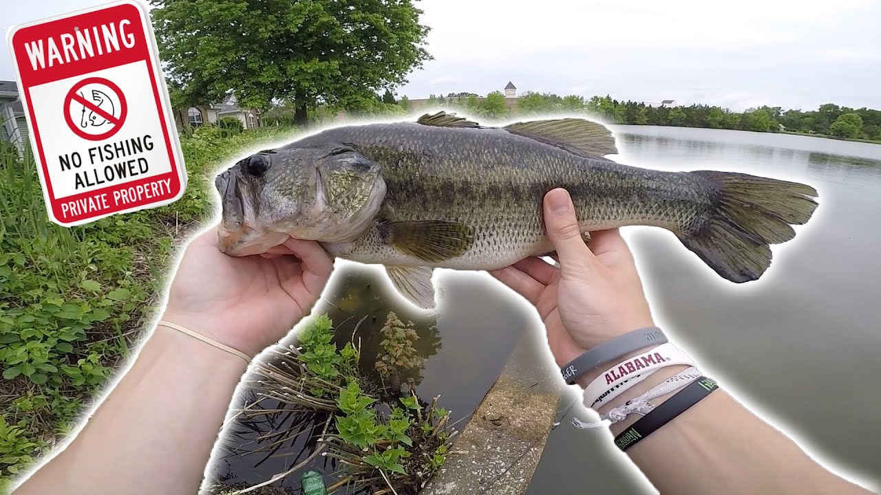 Fishing PRIVATE Ponds for BIG BASS!! (Pond Hopping Pt.1)
