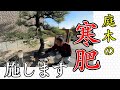 春の芽吹に向けて、寒肥を施しましょう。冬の時期にやる寒肥を詳しく解説します。