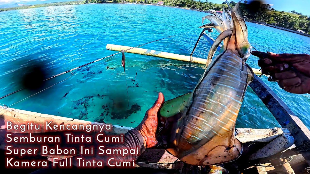 NGERIIII... !!!  SAMBARAN CUMI SUPER BABON INI. Tangan sampai gemetaran || Mancing cumi di laut