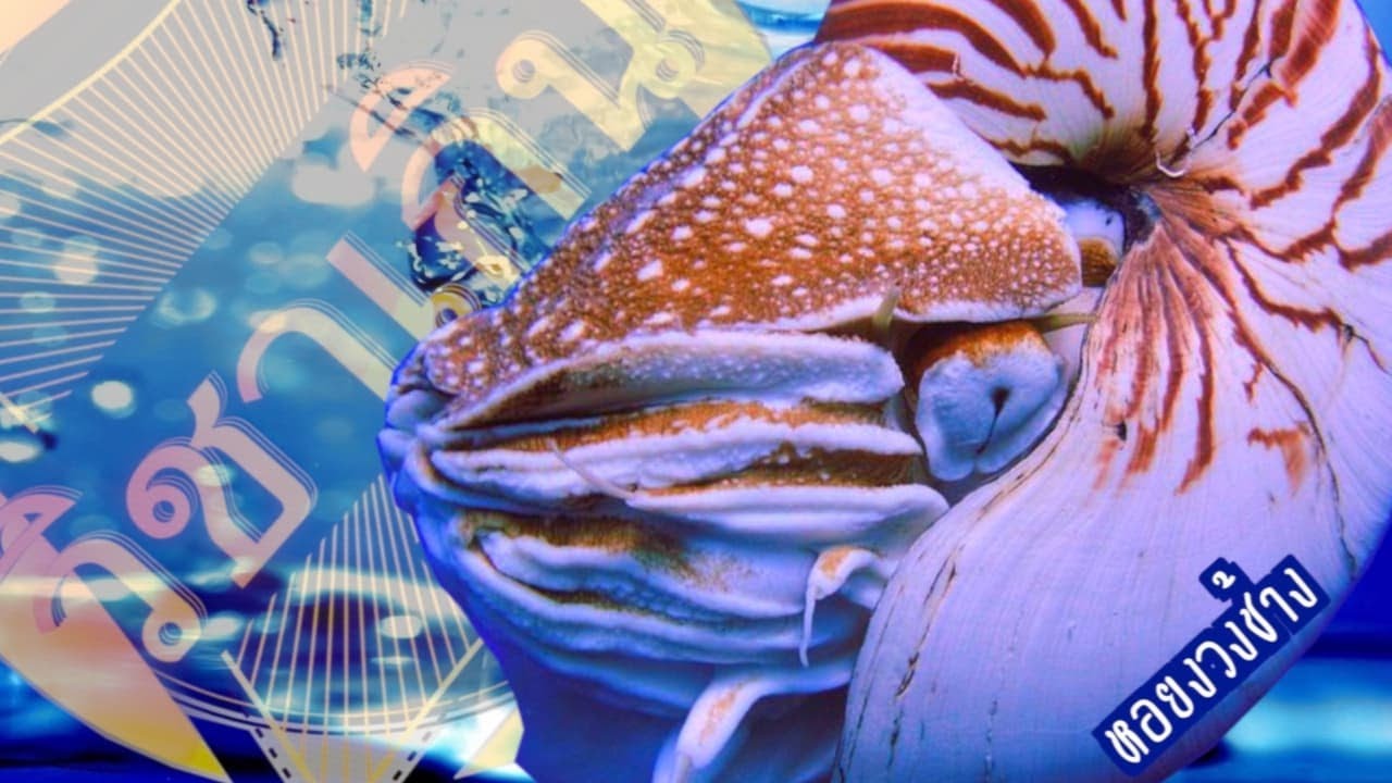 Top 20 Cello Covers of popular songs 2019 The Best Covers Of