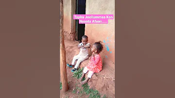 Tapha Joollummaa Kan Nyaata Afaan 