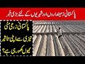 Why pakistani agricultural soil rapidly losing its effectiveness daily ausaf official