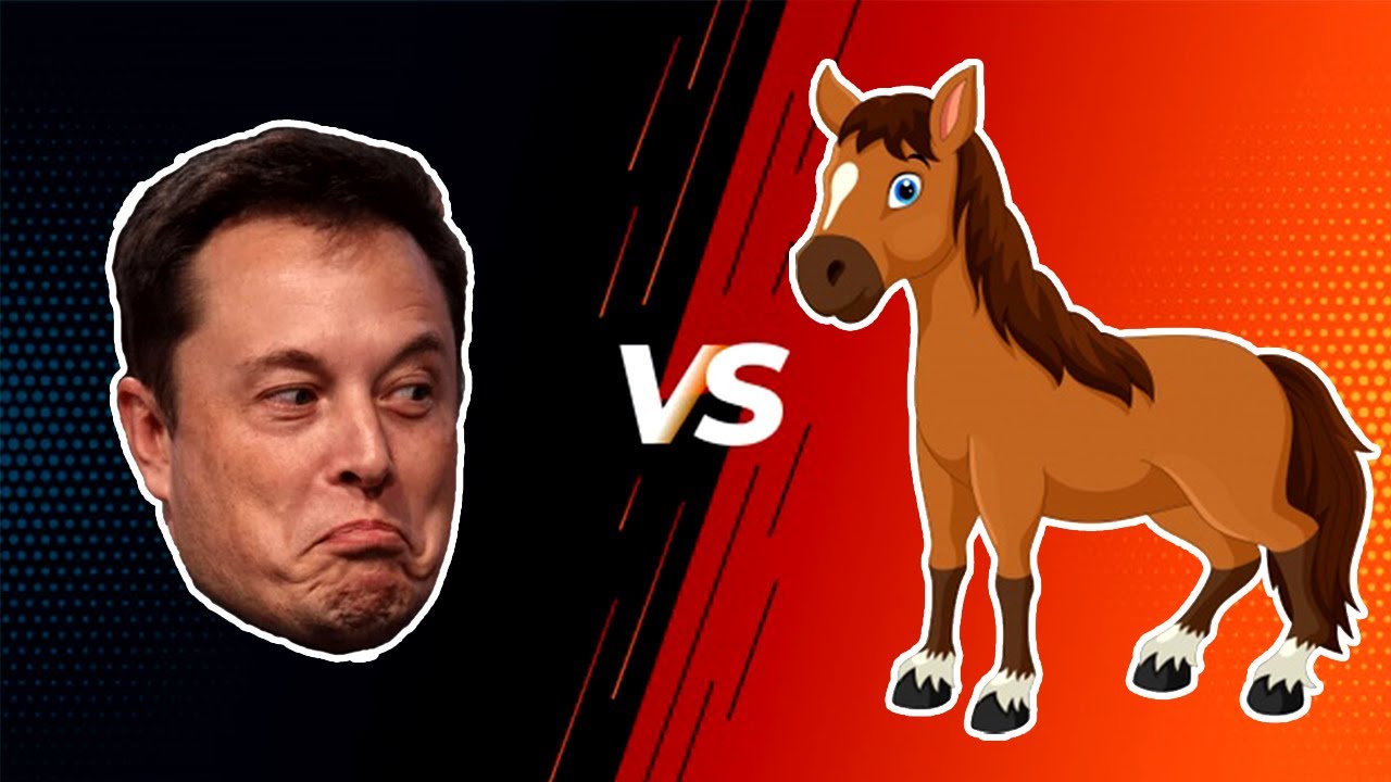 Horse VS Human Classifier in Hindi || Deep Learning Project - YouTube