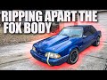 Ripping Apart My Foxbody Mustang (+THE DUALLY DRIVES)