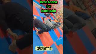 | Best Asana For Back Pain | Vedant Yoga And Naturoapthy Center |