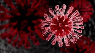 Programming Designing Hacking Coding Focus Music Wealth