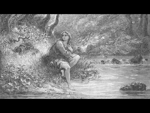 Don Quixote Illustrated by Gustave Doré still