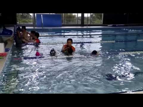 Carlile Gold Fish swimming class