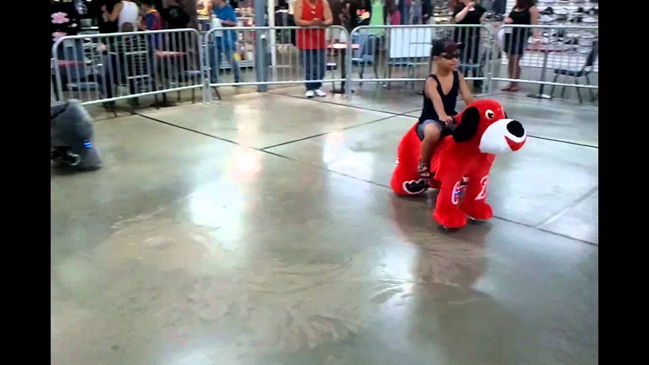 Zippy Pets at 7 Mile Fair for the Kids and Kids of any age YouTube