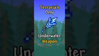 Terraria's Most Broken Weapon Mechanic!?
