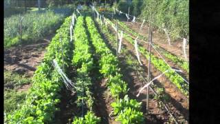 Granja el Silencio