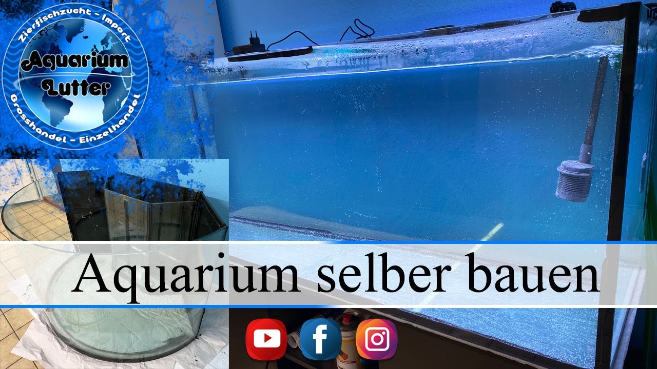 Aquarium selber bauen / kleben / reparieren DIY