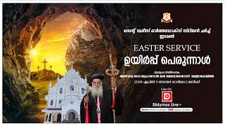 ഉയിർപ്പ് പെരുന്നാൾ | EASTER SERVICE | St.Mary's Orthodox Church, Edamon - LIVE